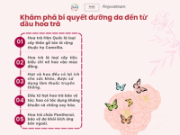 Khám Phá Bí Quyết Dưỡng Da Hoàn Hảo Với Tinh Dầu Hoa Trà Hàn Quốc!