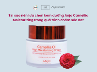 Tại sao nên lựa chọn kem dưỡng Anjo Camellia Moisturizing trong quá trình chăm sóc da?