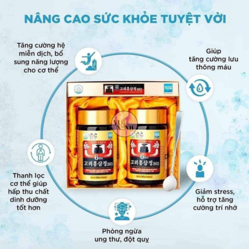 Cao Hồng Sâm 365 Hàn Quốc (240g x 2 lọ)