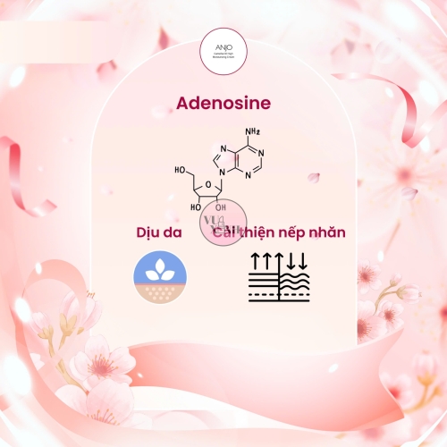 Kem Dưỡng Ẩm Da Mặt  Chiết Xuất Dầu Hoa Trà Anjo Professional Camellia 100ml